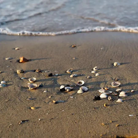 Lejlighed Bright Steps From The Sea Bibione