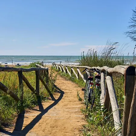 Bright Steps From The Sea *