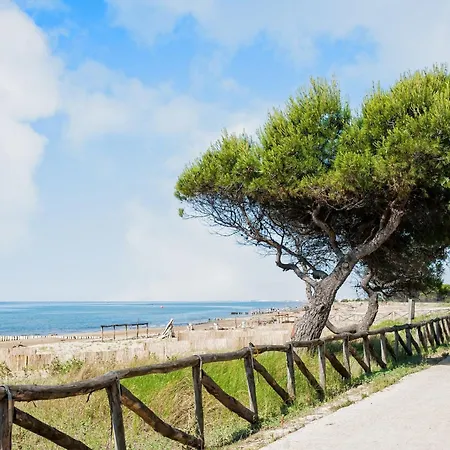 Bright Steps From The Sea *