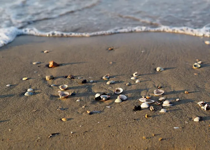 Lejlighed Bright Steps From The Sea Bibione